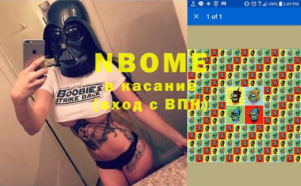 apvp Няндома