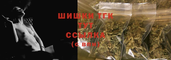 apvp Няндома