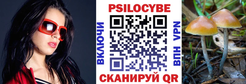 Псилоцибиновые грибы Psilocybine cubensis Макушино